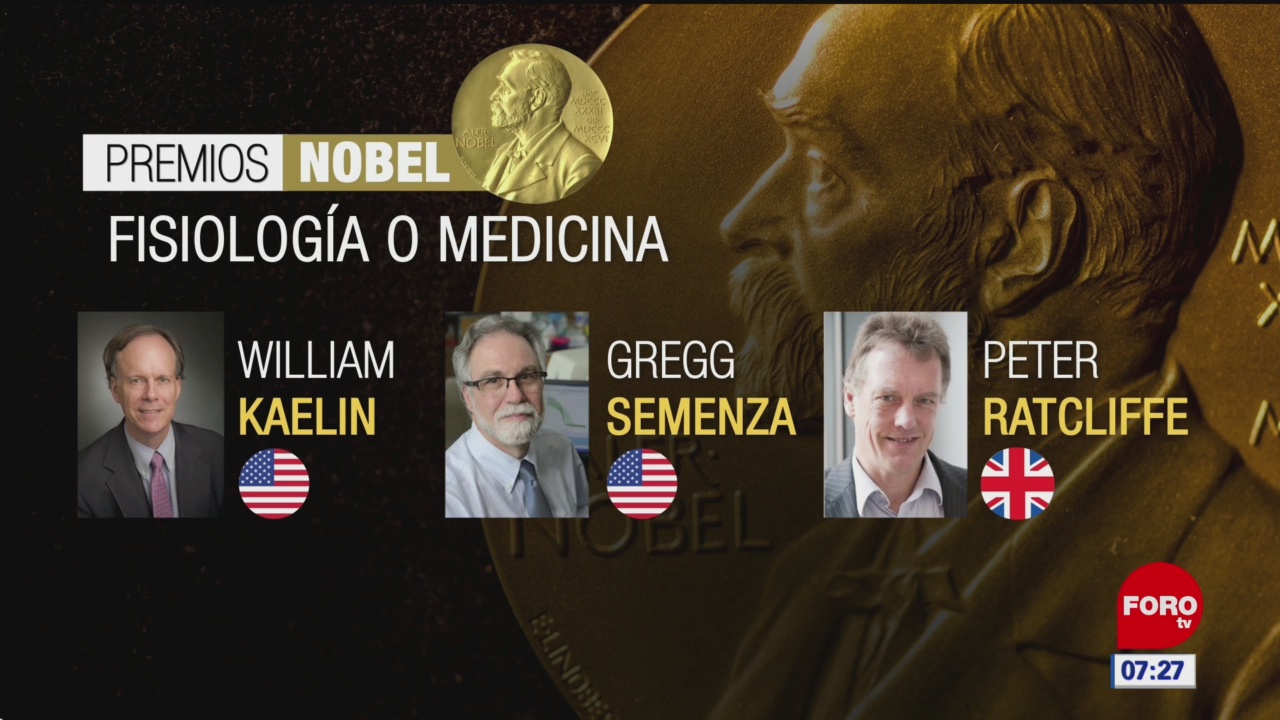 Otorgan el Nobel de Medicina a dos estadounidenses y un británico