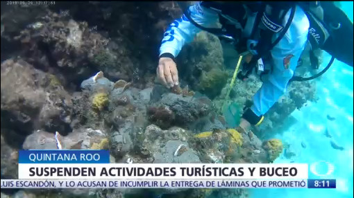 Prohíben visitas a arrecifes de Cozumel para evitar deterioro