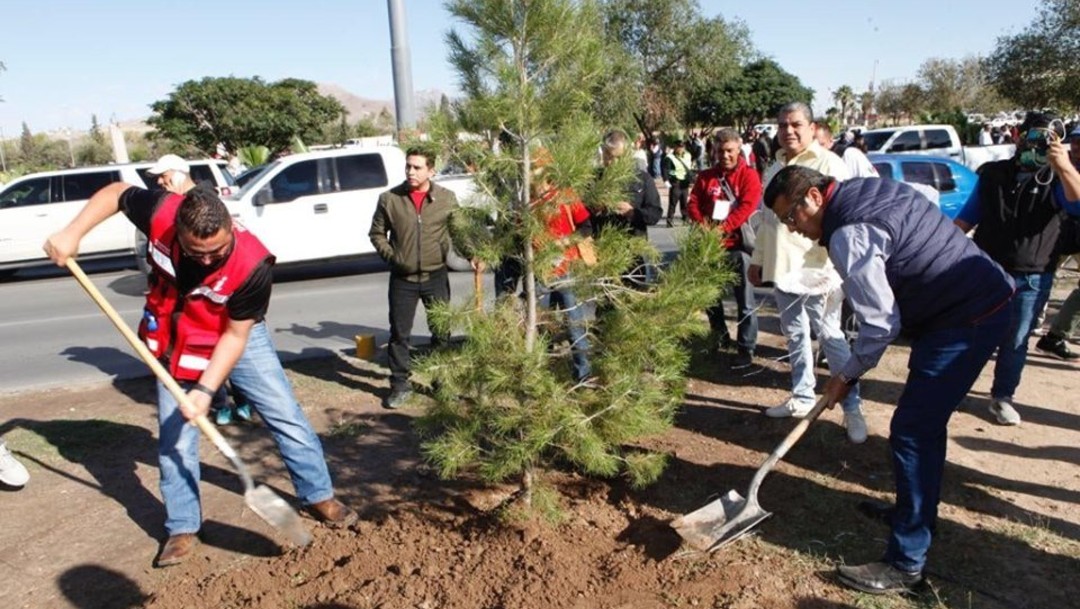 Inician campaña de reforestación de Ciudad Juárez