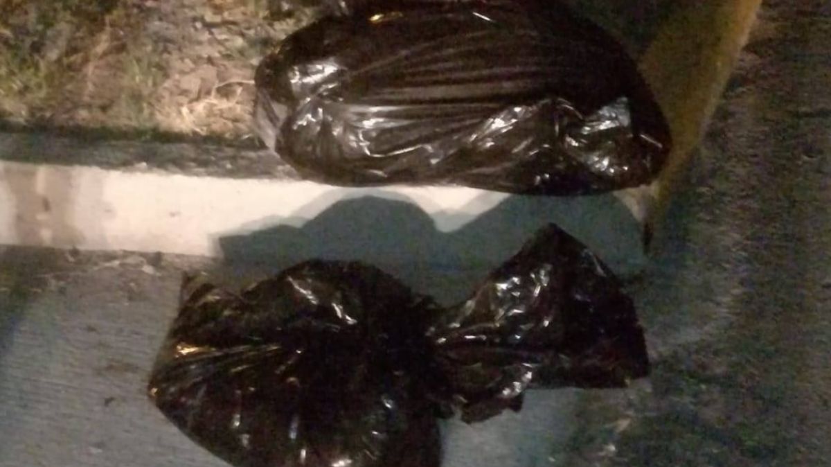 Restos humanos hallados en bolsas de plástico en Jalisco