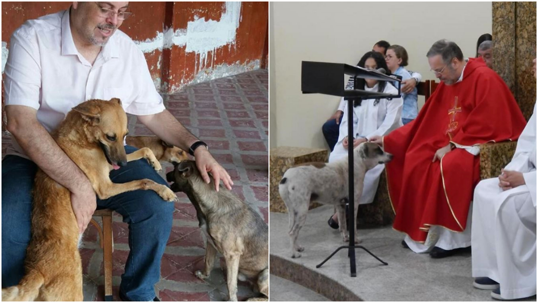 Foto: Sacerdote invita perros a misa para que sean rescatados. 24 Octubre 2019