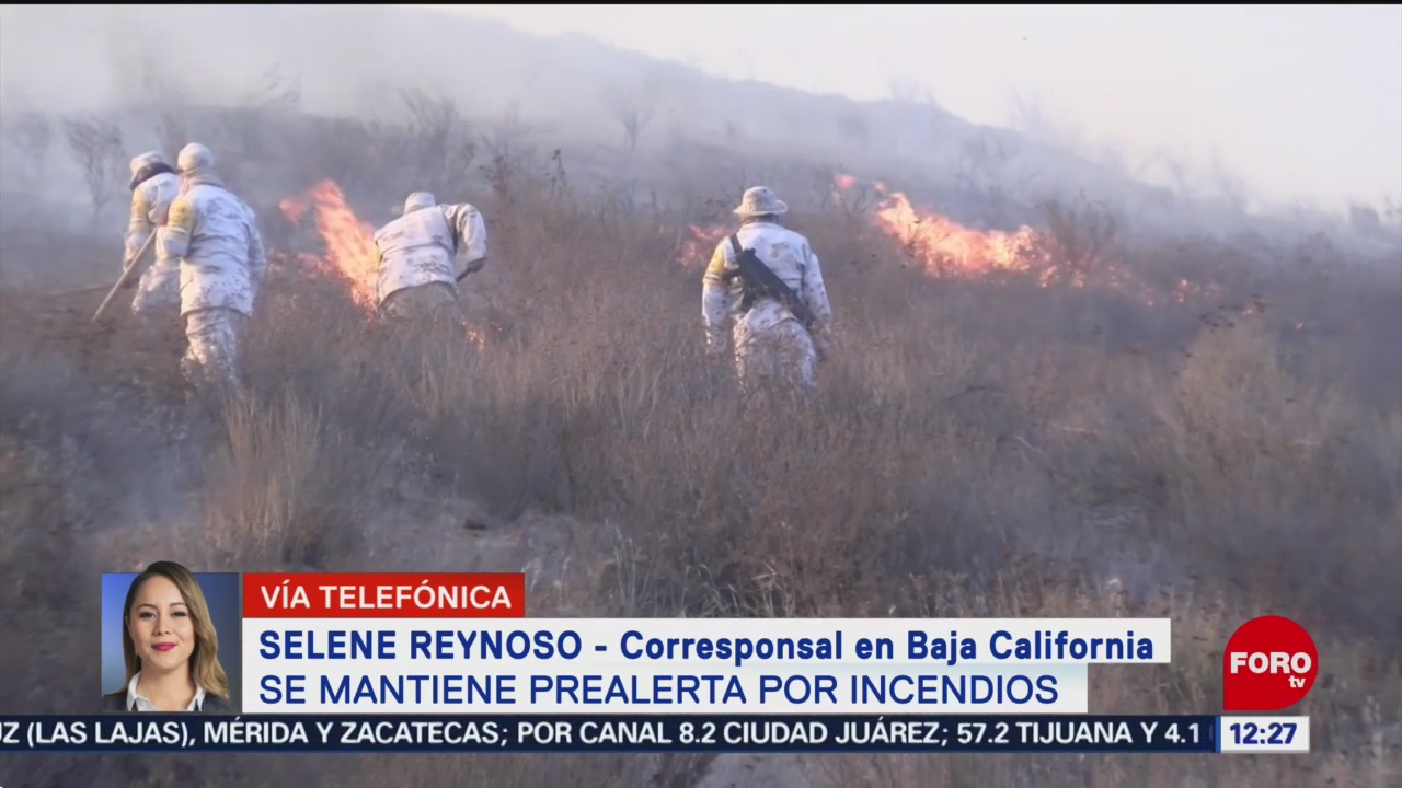 Se mantiene alerta por incendios forestales en Baja California