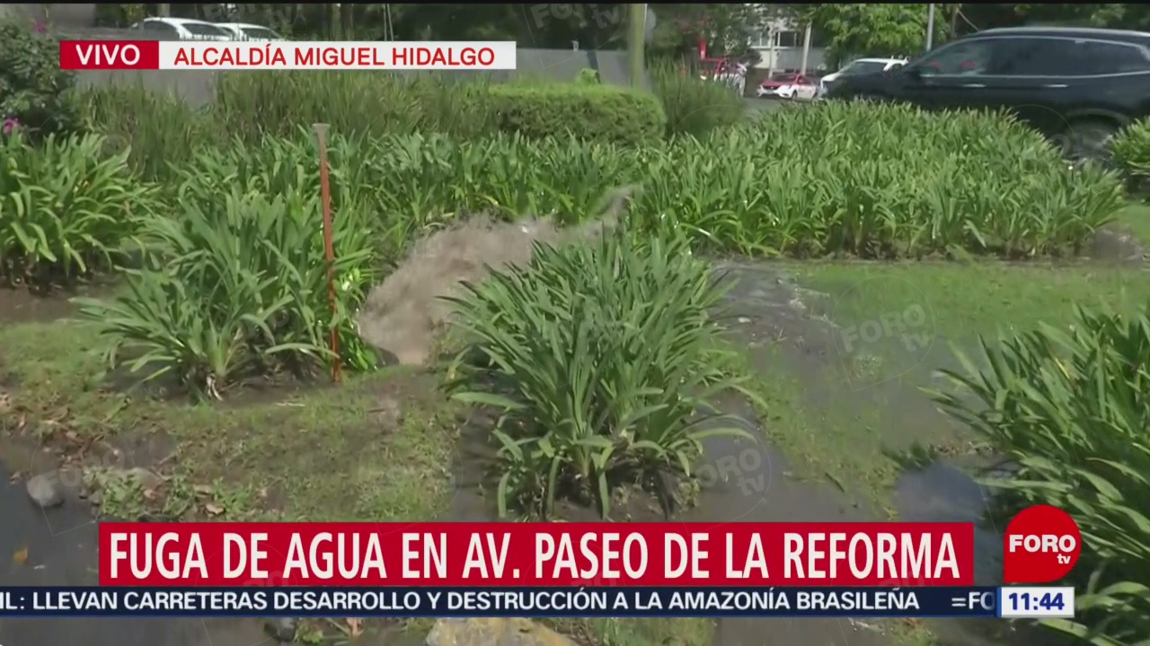 Se registra fuga de agua tratada en Paseo de la Reforma, en CDMX