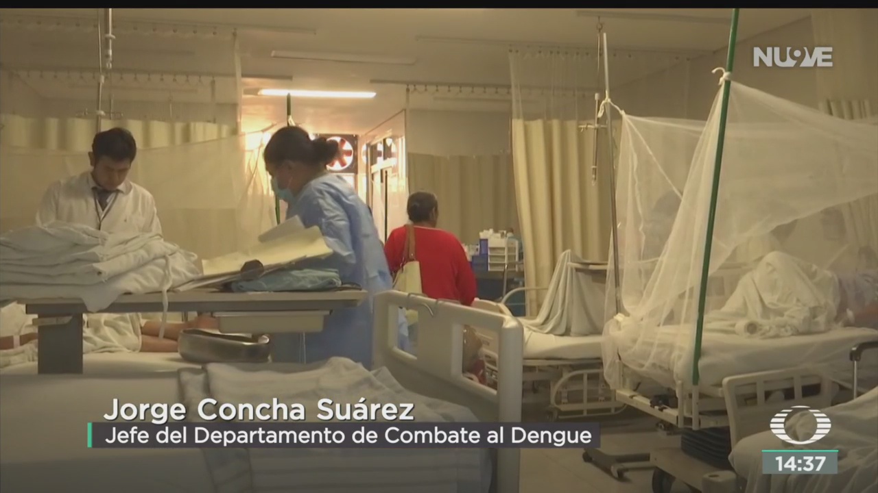 FOTO: Suman cuatro muertos por dengue Oaxaca,