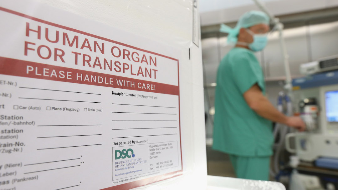 Foto Rechaza trasplante de hígado porque provenía de una mujer 9 octubre 2019