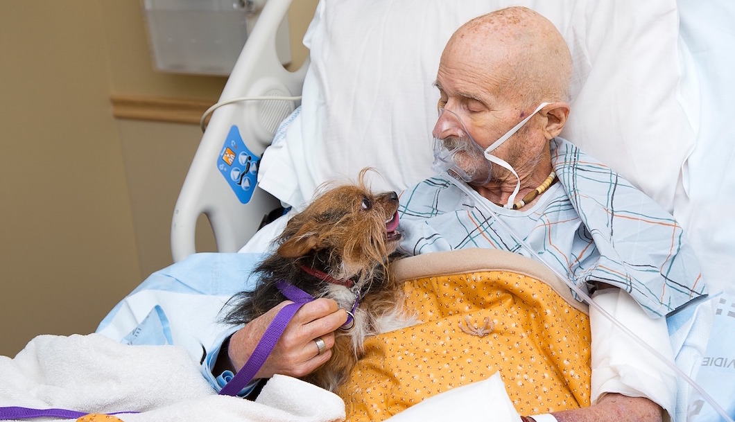 Veterano de guerra pide ver a su perrito por última ocasión antes de morir