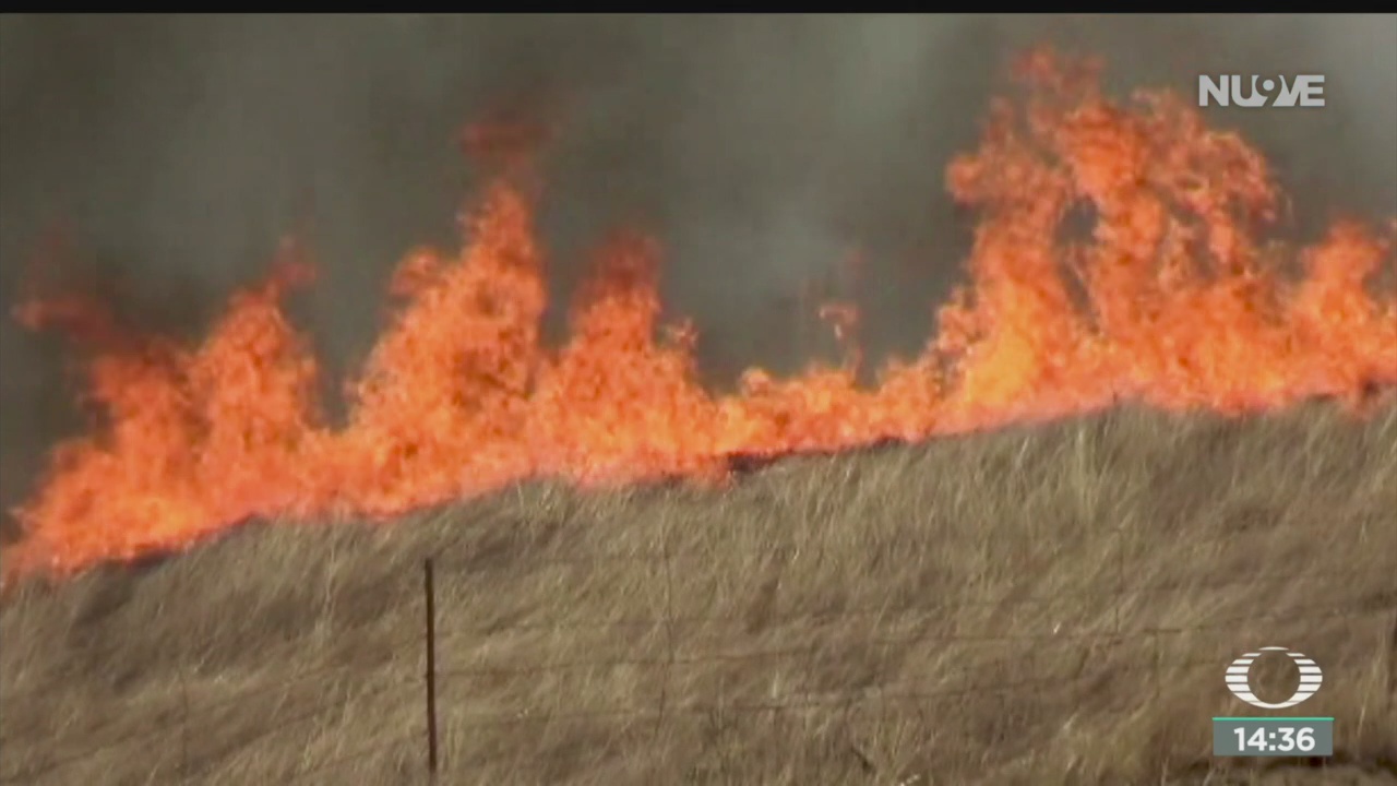 FOTO: Viento aviva incendios California