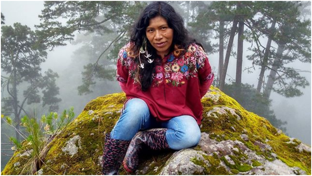 Localizan viva a la ambientalista Irma Galindo