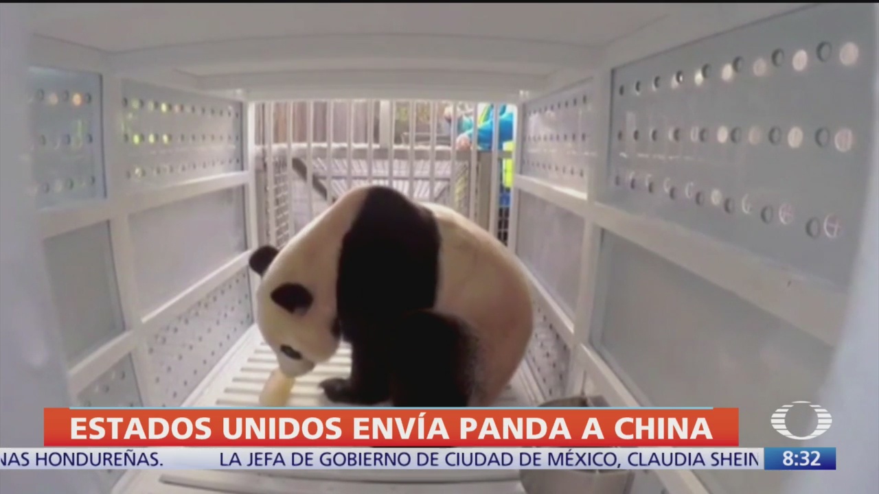 Avión traslada al panda gigante Bei Bei de Washington a China