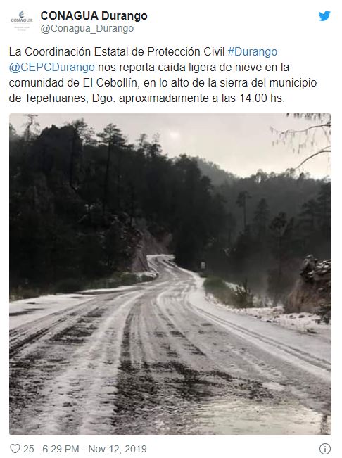 FOTO Caen las primeras nevadas en municipios de Durango