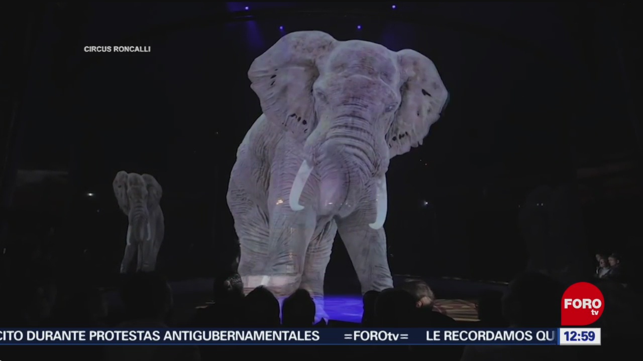 Circo en 3D exhibe a elefantes, caballos y peces