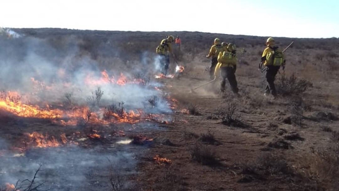 FOTO Conafor extingue incendios en cinco predios de Baja California