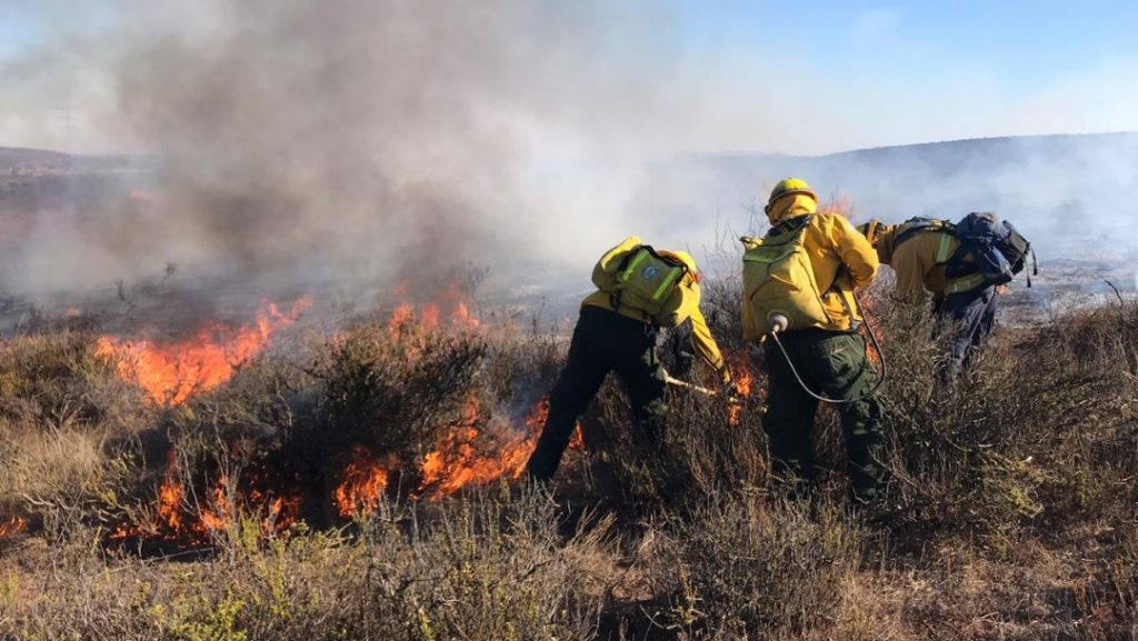 FOTO Conafor extingue incendios en cinco predios de Baja California
