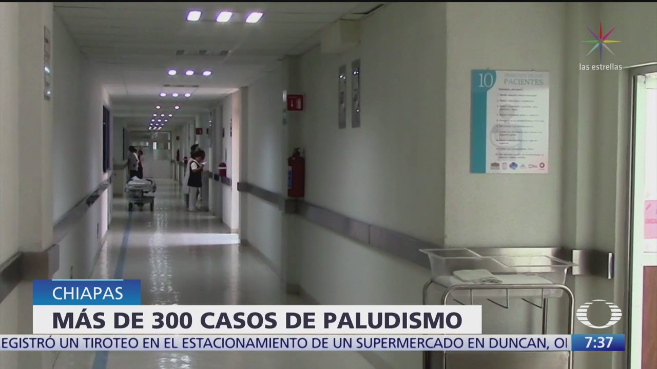 Foto: Confirman 360 casos paludismo Chiapas,