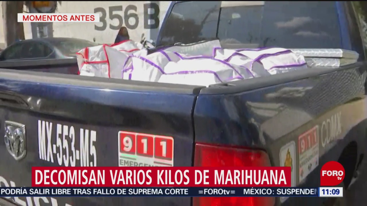 Decomisan varios kilos de marihuana en la colonia Morelos, CDMX