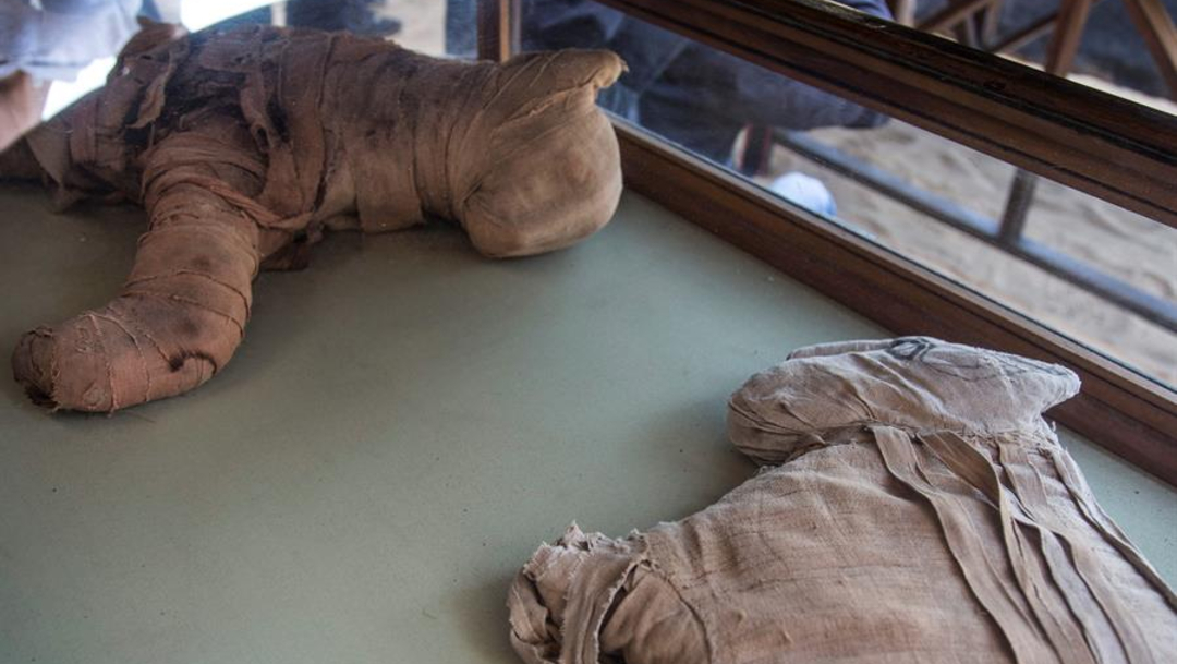 Foto: Los animales eran momificados como ofrendas religiosas, 23 de noviembre de 2019 (EFE)