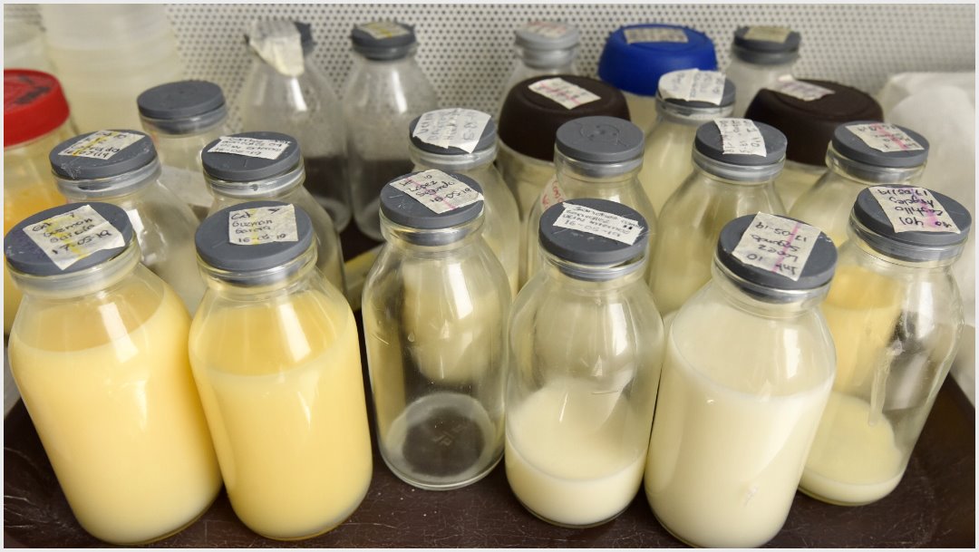 Imagen: Senadores buscan regular el etiquetado de la leche, 23 de noviembre de 2019 (CRISANTA ESPINOSA AGUILAR /CUARTOSCURO.COM)