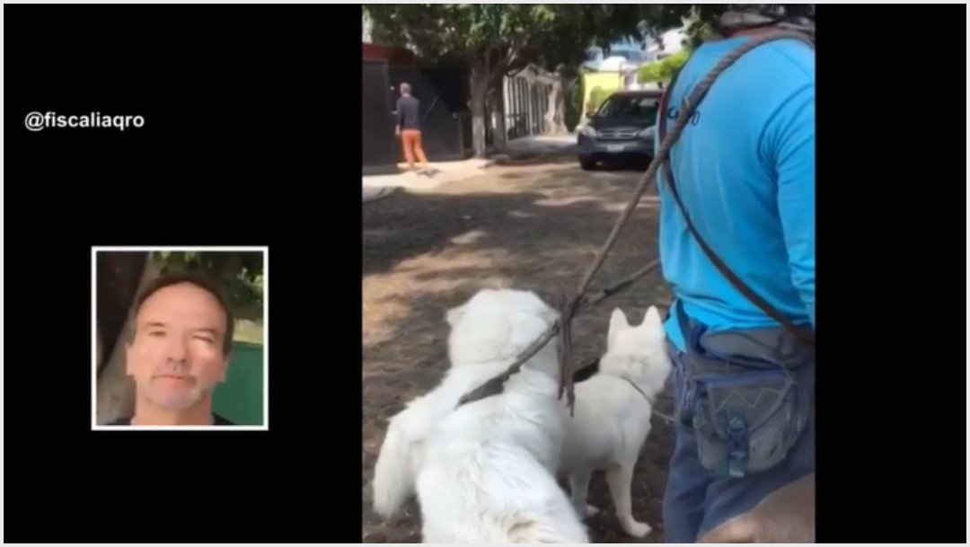 Foto: Captan a extranjero intentando atropellar a perros, 3 de noviembre de 2019 (Redes sociales)