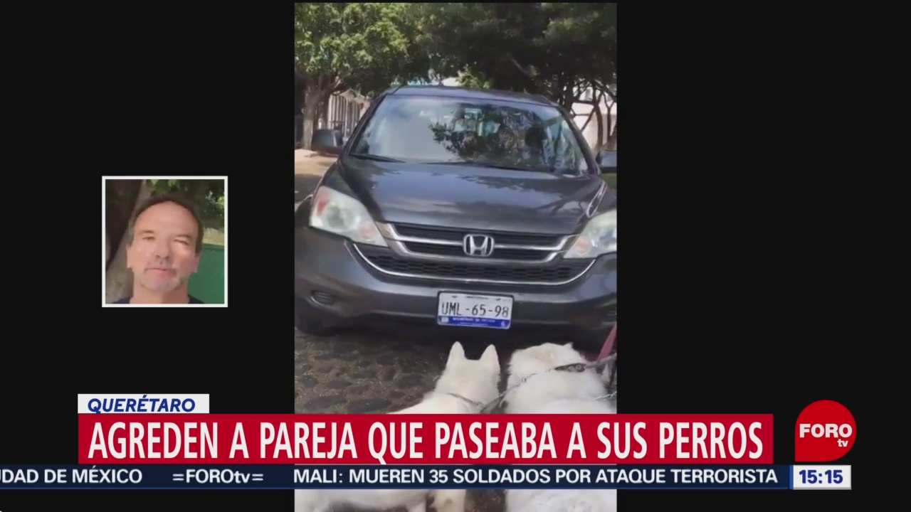 Foto: Extranjero Atropellar Mujer Perros Querétaro 3 de Noviembre
