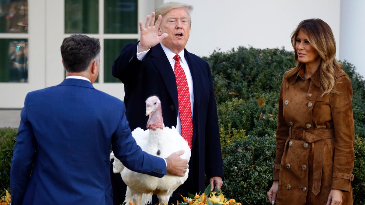 Foto: Donald Trump perdona a los pavos Bread y Butter. AP