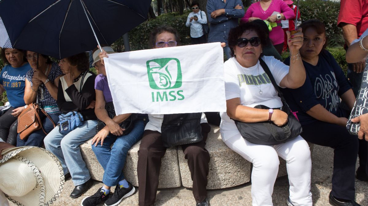 Foto: Una mujer sostiene una bandera del IMSS. Cuartoscuro/Archivo