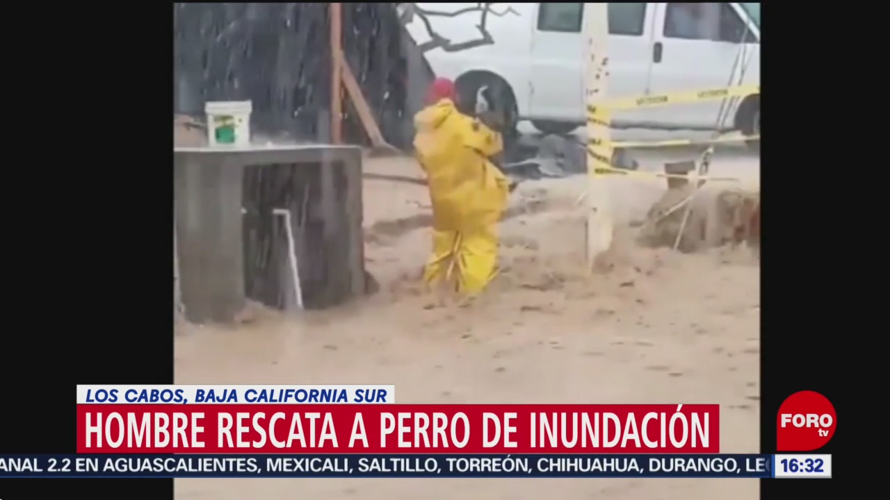 FOTO: Hombre rescata a perro de inundación en Baja California, 28 noviembre 2019