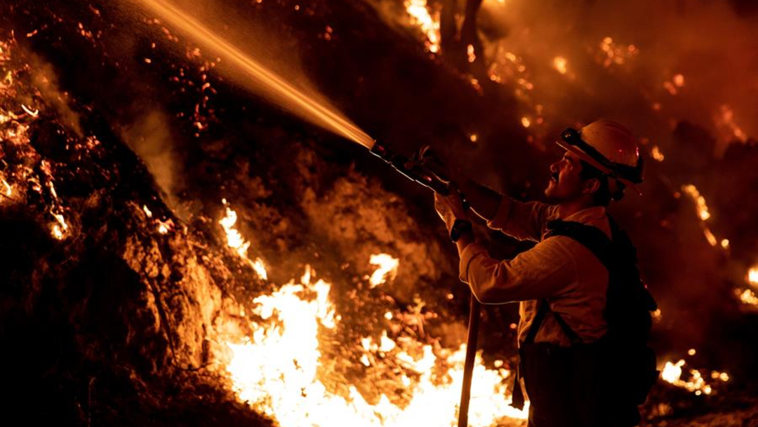 Imagen: Durante las últimas semanas, varios incendios han arrasado con cerca de 40.000 hectáreas, 3 de noviembre de 2019 (EFE)