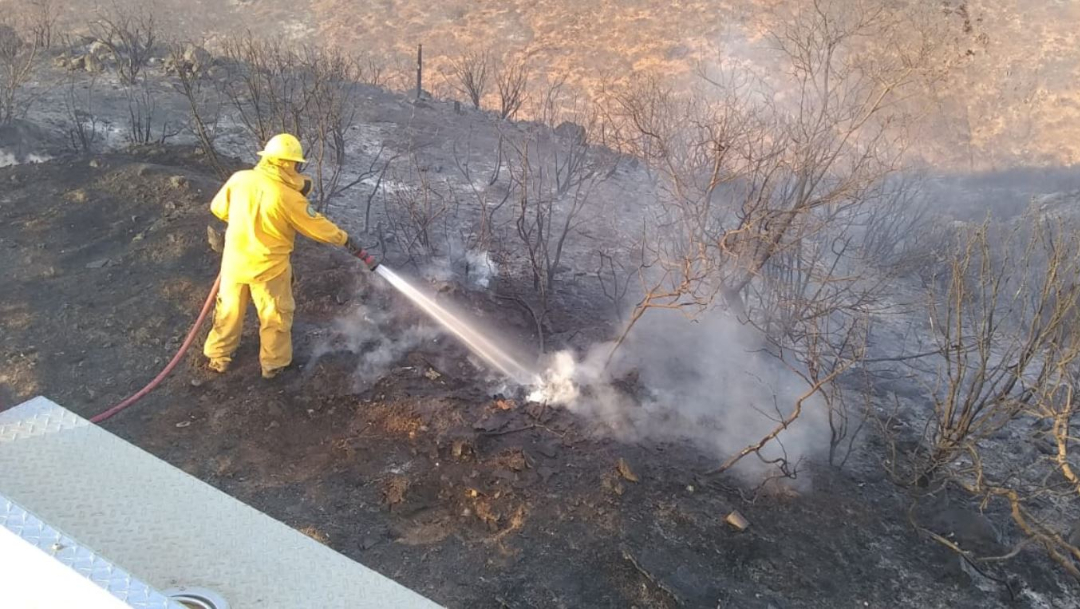 Foto: La Comisión Nacional Forestal dio a conocer que no hay incendios activos en Baja California, 3 noviembre 2019