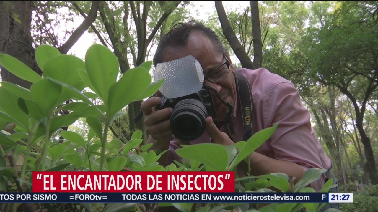 Foto: Encantador Insectos Jesús Peña Fotografo 28 Noviembre 2019