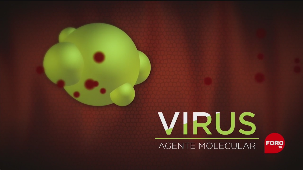 FOTO: La UNAM crea un virus artificial para tratar enfermedades, 10 noviembre 2019