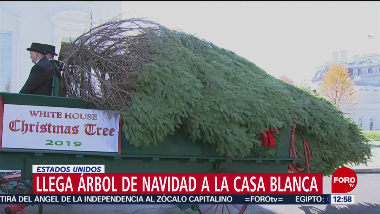 Llega árbol de Navidad de la Casa Blanca
