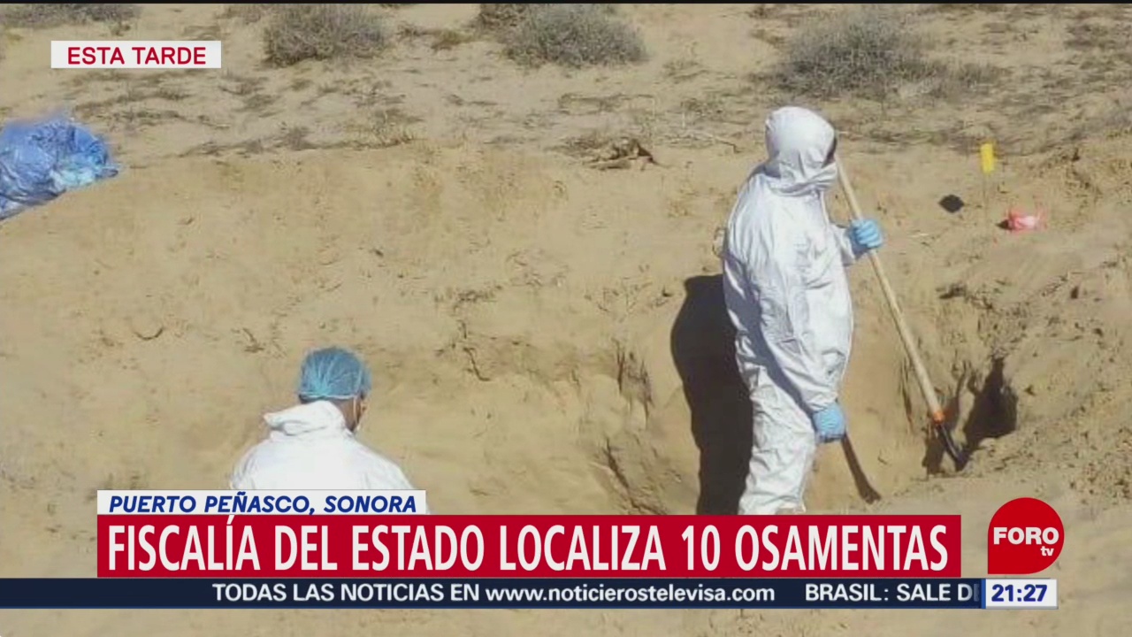 FOTO: Localizan 10 osamentas en fosas clandestinas en Sonora, 9 noviembre 2019