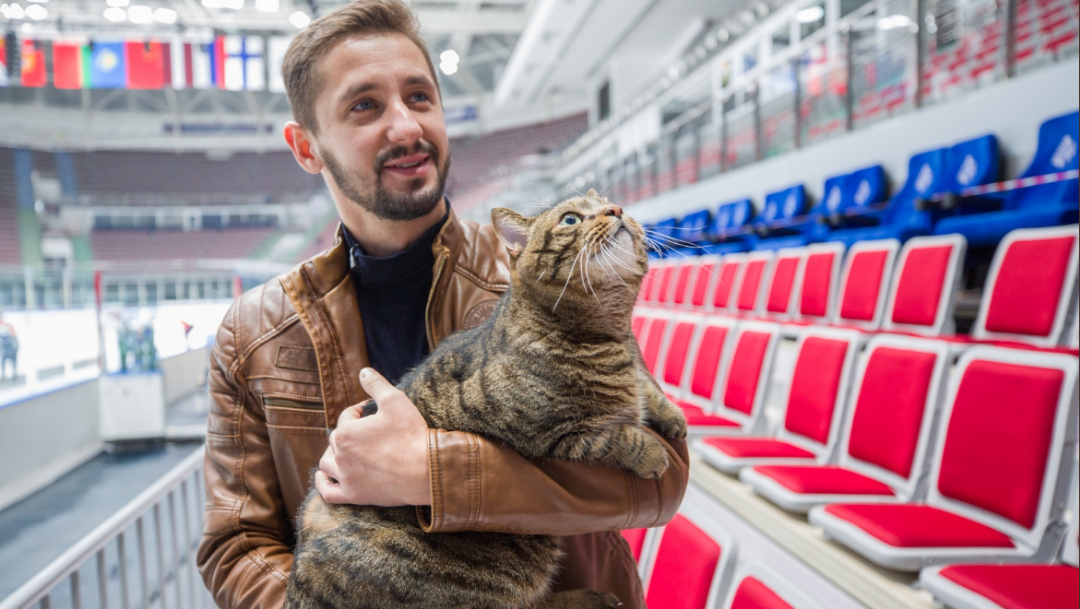 Víktor, un gato 'gordito', engaña a aerolínea y viaja como polizón