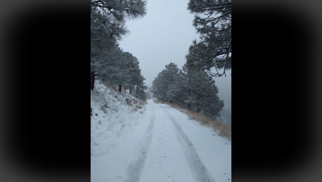 FOTO Primera nevada de la temporada cae en sierra de Cananea (Twitter)