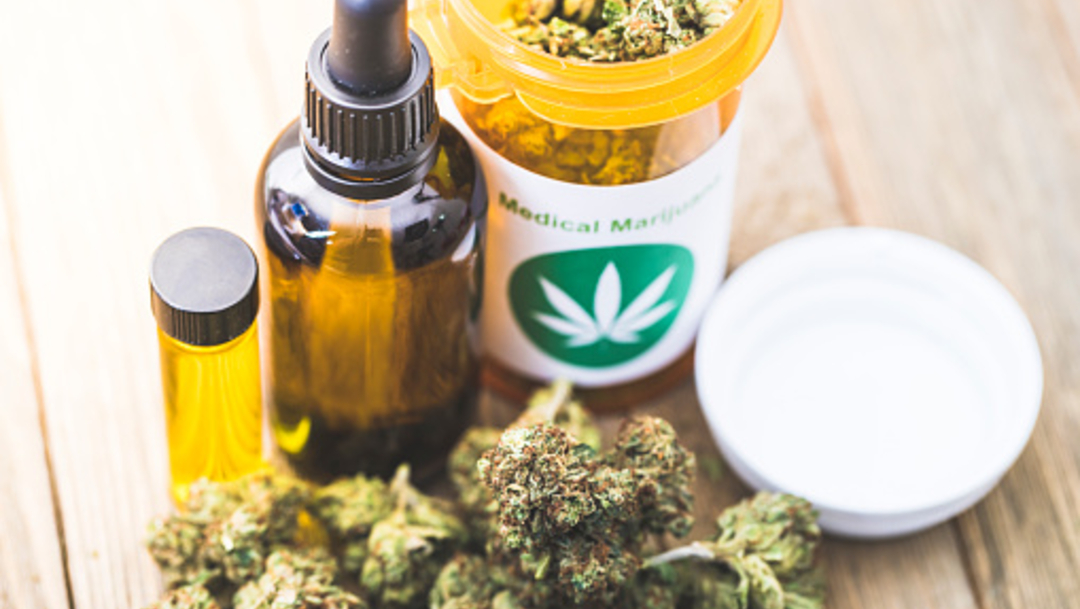 Imagen: La aprobación de los dos medicamentos a base de cannabis se logró gracias a la modificación de una ley en noviembre de 2018, 11 de noviembre de 2019 (Getty Images, archivo)