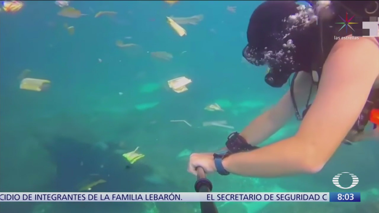 Residuos plásticos afectan mar y peces