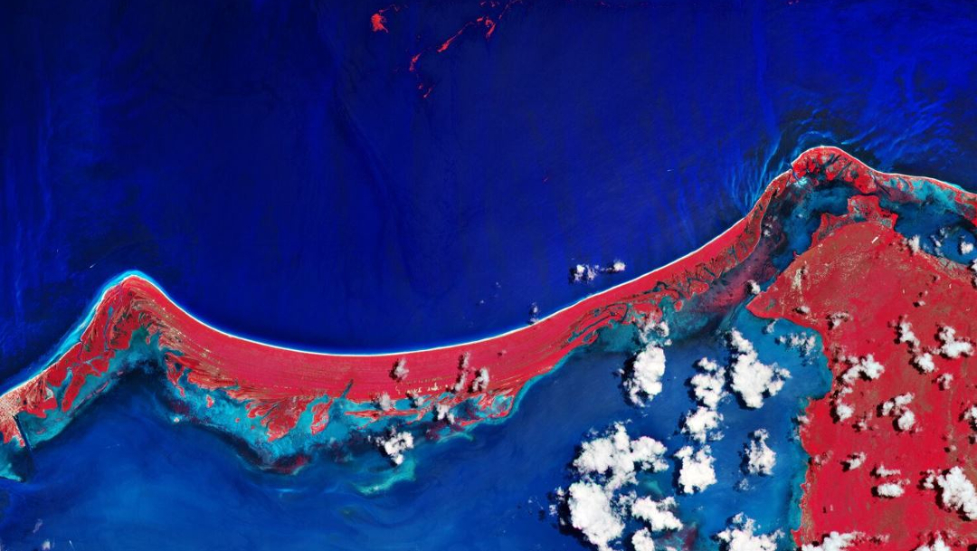 Foto: Vista desde el espacio de la isla de Holbox, afectada por la llegada de Sargazo, 10 noviembre 2019