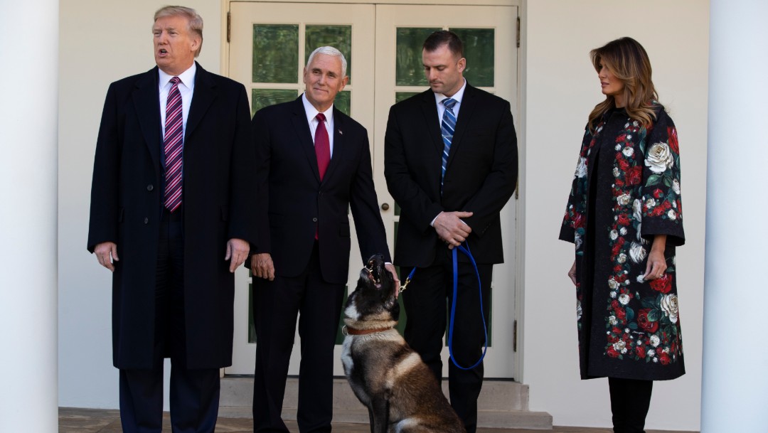 Trump recibe a Conan, la perra del operativo contra Al Bagdadi
