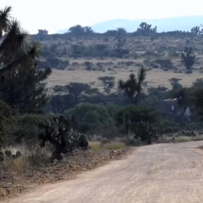 Acusan a diputada de Morena de usar terrenos ejidales para construir camino