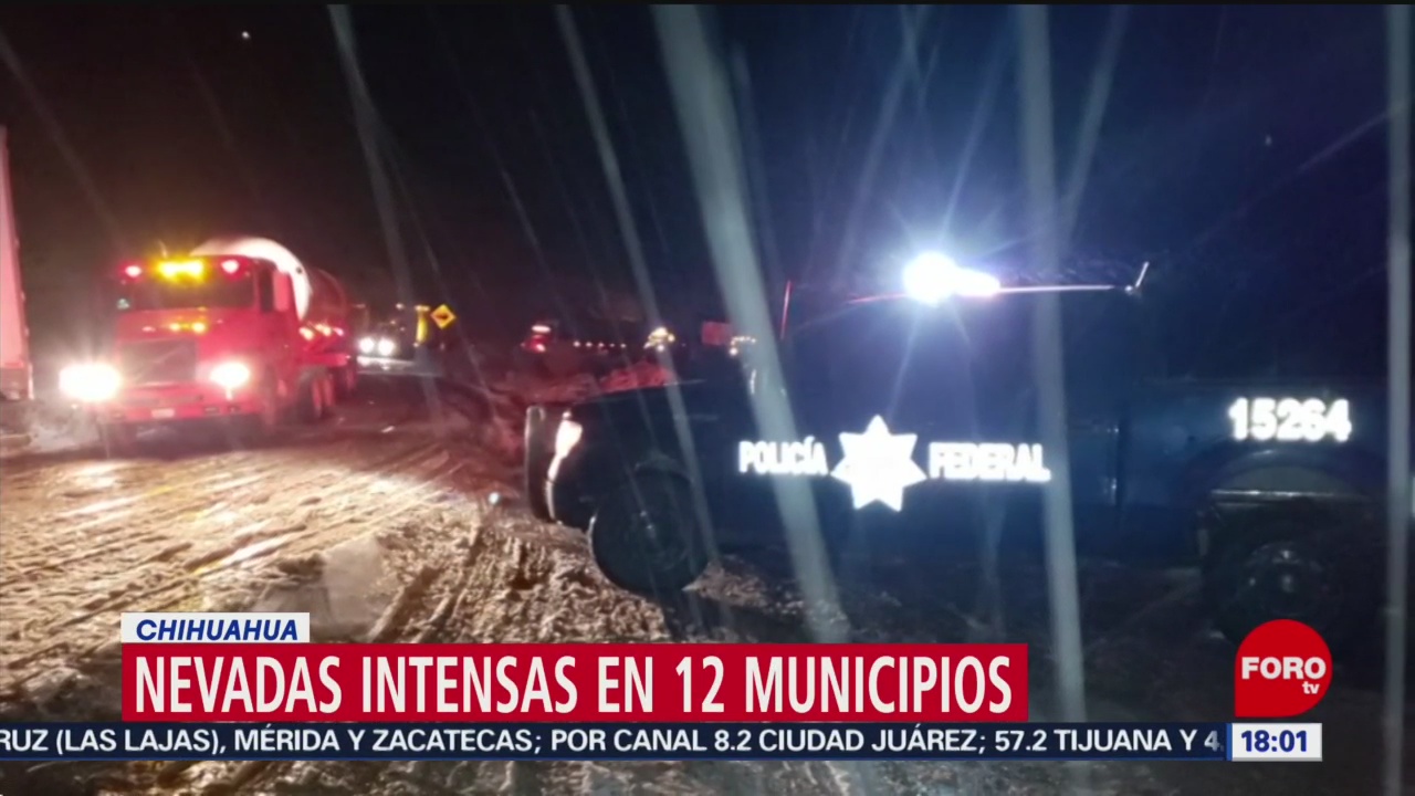 Foto: Nieve Chihuahua Municipios HoyNieve Chihuahua Municipios Hoy 28 Diciembre 2019