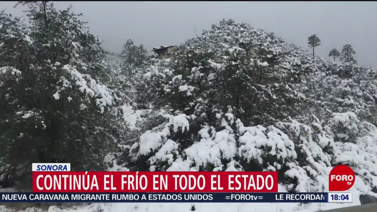 Foto: Tormenta Invernal Bajas Temperaturas Sonora 28 Diciembre 2019