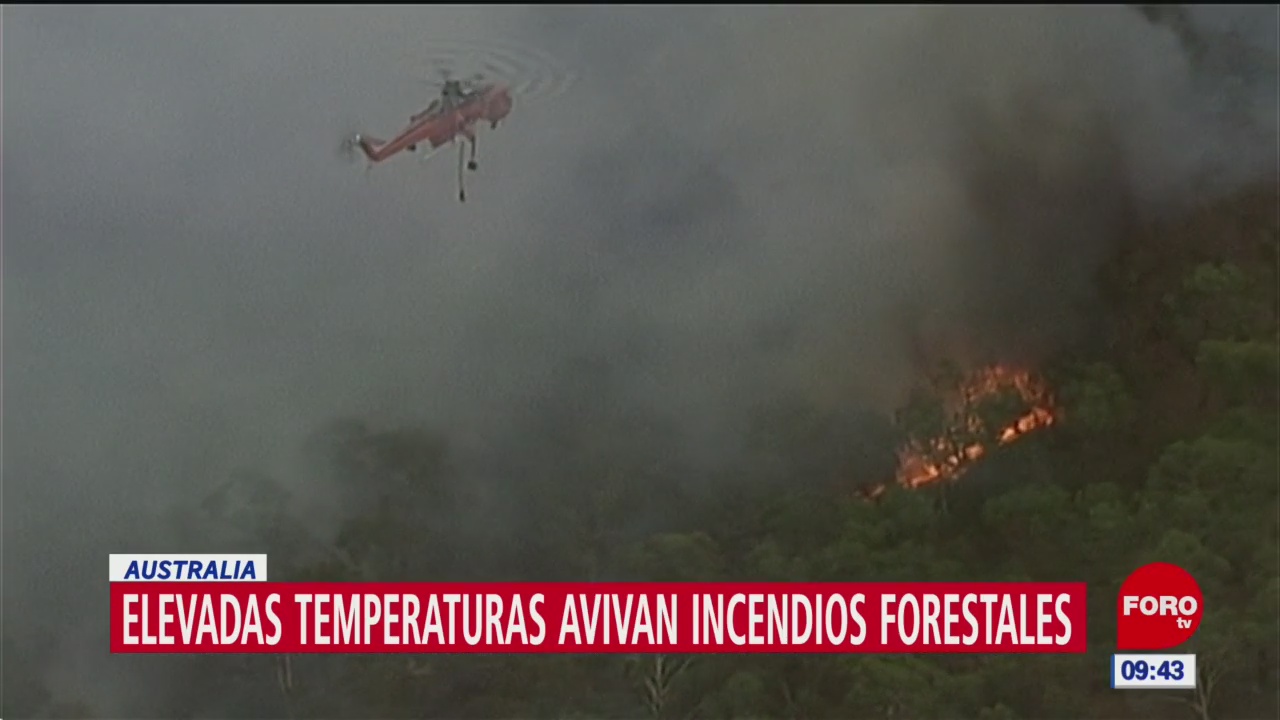 Foto: elevadas temperaturas avivan incendios forestales en australia