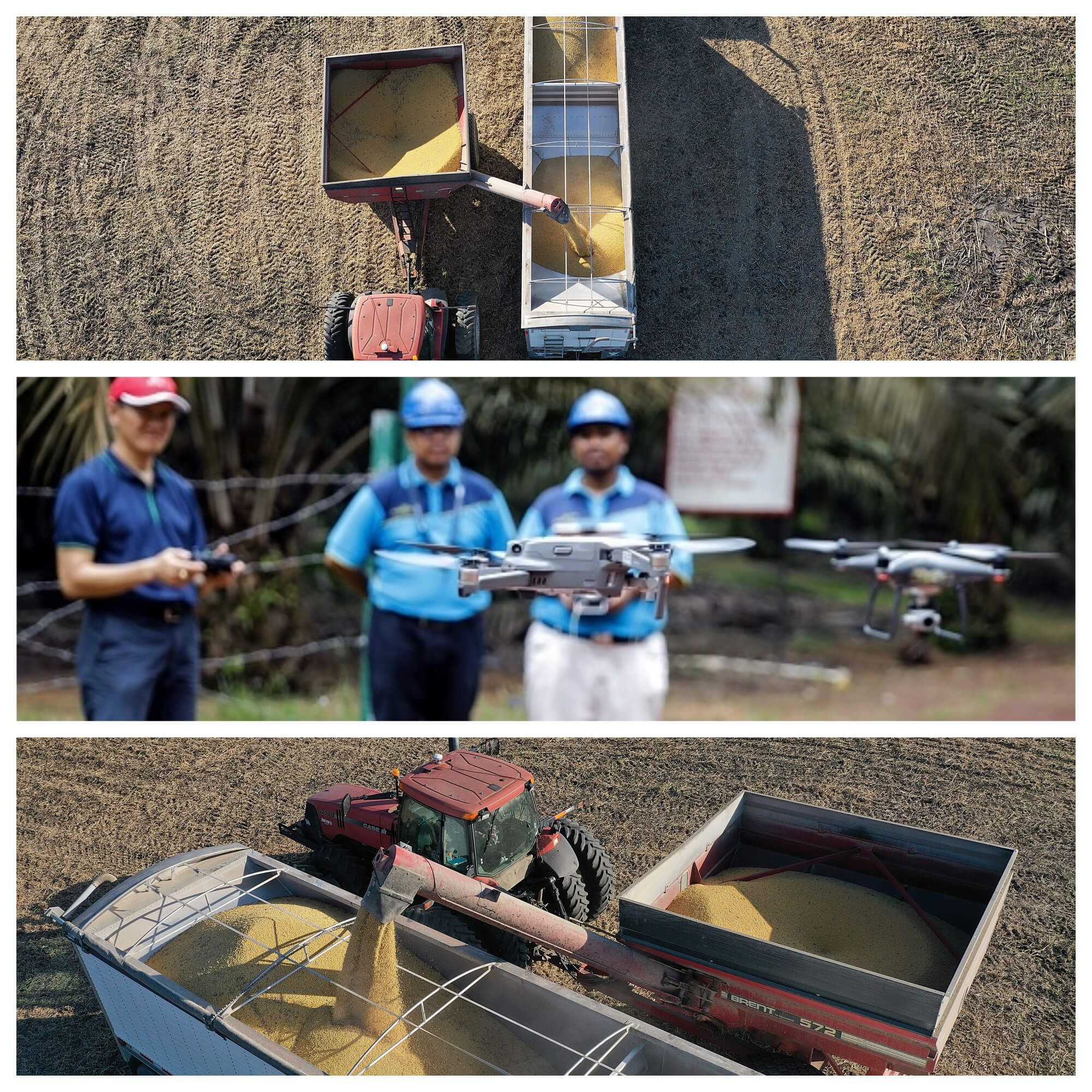 Foto: Granjeros utilizan un dron para vigilar la cosecha. Getty Images