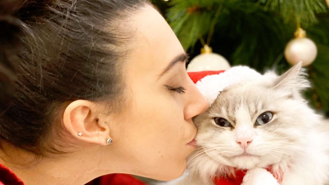 Foto Mujer descubrió cómo mantener a su gato alejado del Árbol de Navidad 20 diciembre 2019