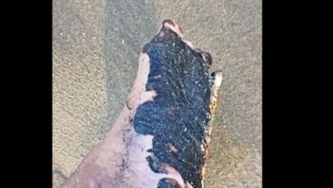 Investigan derrame de hidrocarburo en playas de Manzanillo