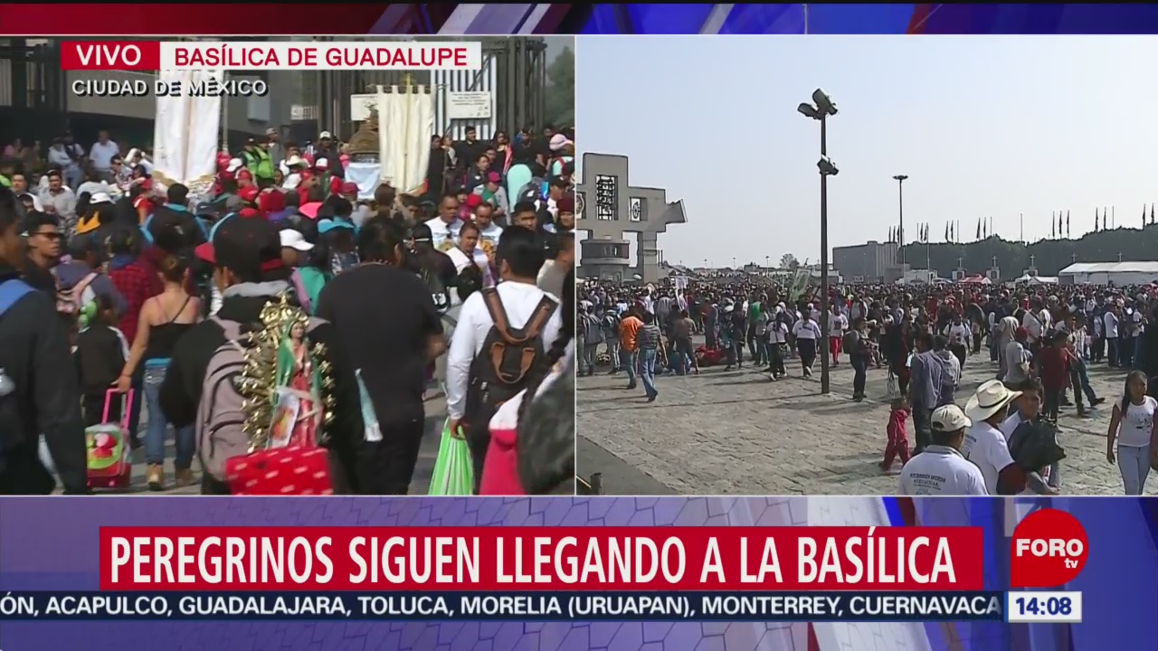 FOTO: Miles Peregrinos Siguen Llegando Basílica Guadalupe