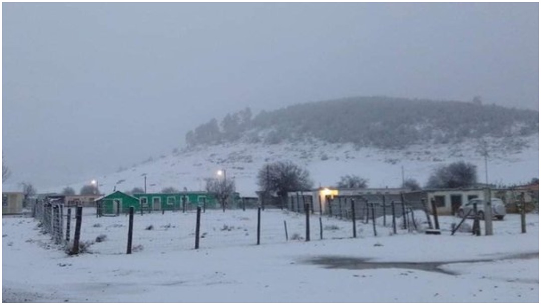 Foto: La madrugada de este sábado se registró la primera nevada en Galeana, 21 de diciembre de 2019 (Noticieros Televisa)