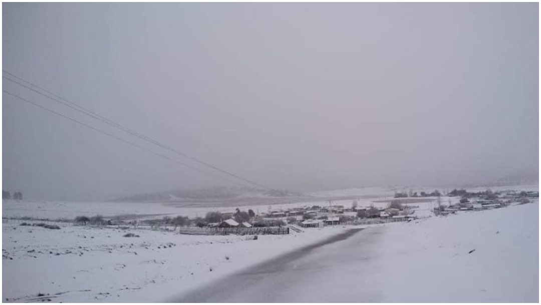 Foto: La madrugada de este sábado se registró la primera nevada en Galeana, 21 de diciembre de 2019 (Noticieros Televisa)