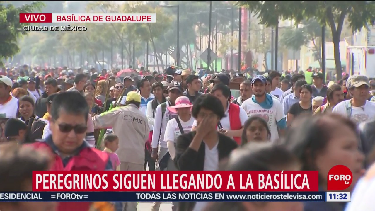 peregrinos siguen llegando a la basilica de guadalupe
