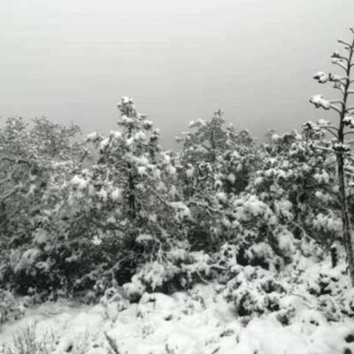 Fotos: Primeras nevadas de la temporada en Zacatecas